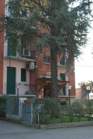 Hotel Tuscolano fotoÄŸrafÄ±