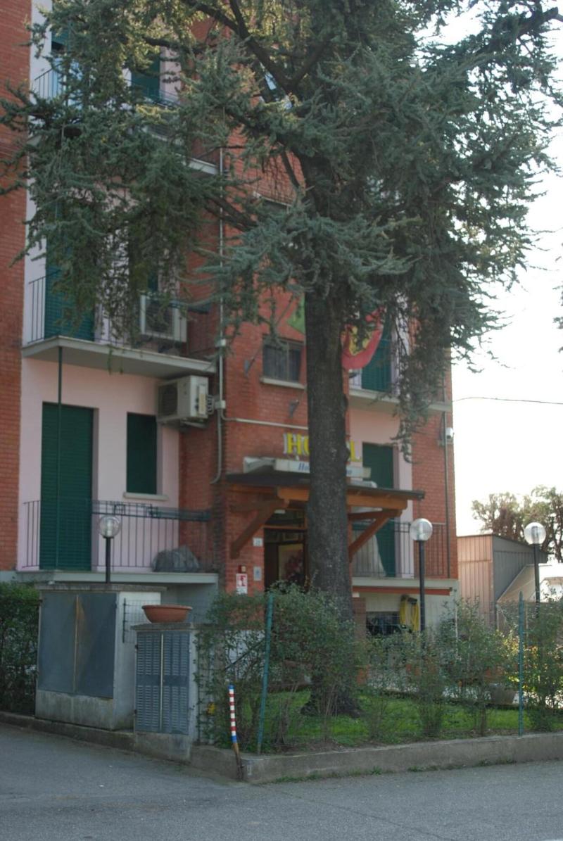 Hotel Tuscolano - Genel