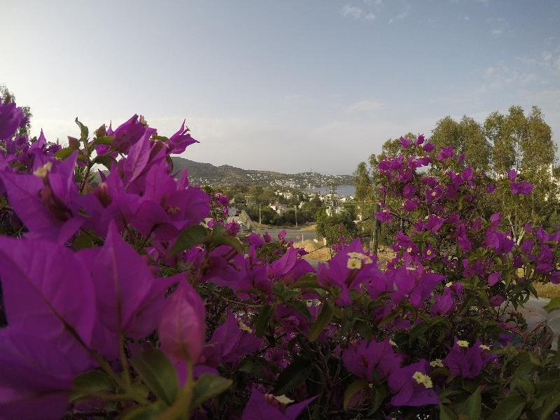 Panorama Hotel Bodrum - Genel