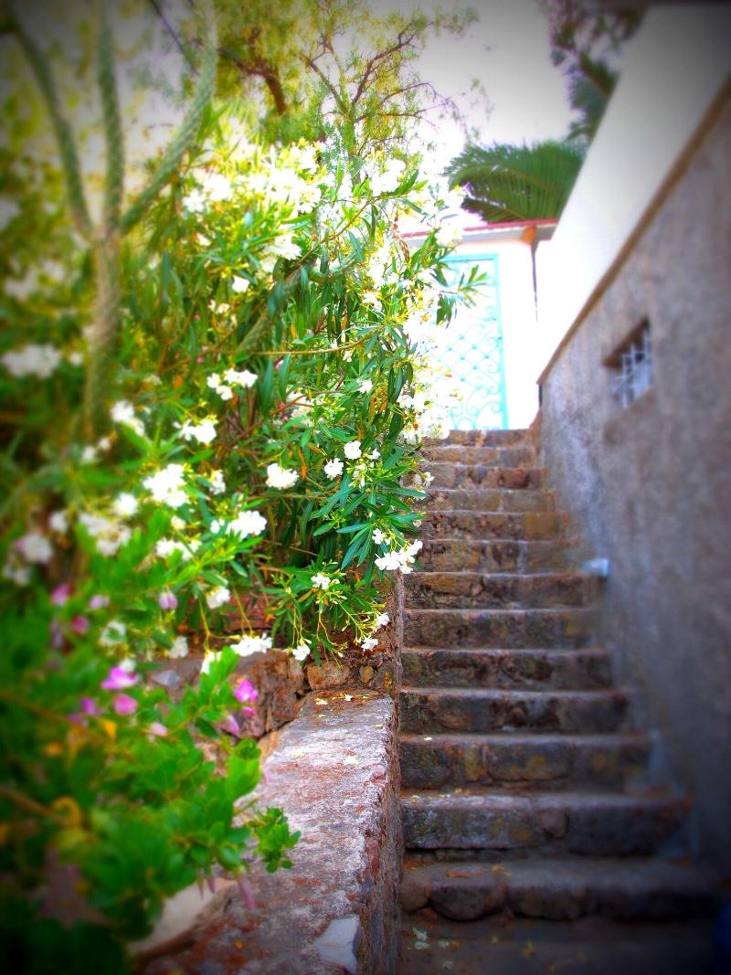 Panorama Hotel Bodrum - Genel