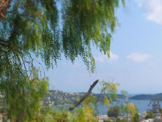 Panorama Hotel Bodrum fotoÄŸrafÄ±
