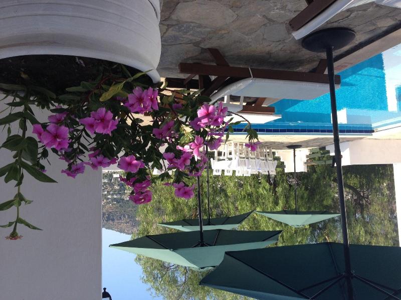 Panorama Hotel Bodrum - Havuz