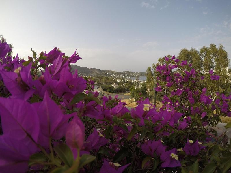 Panorama Hotel Bodrum - Teras