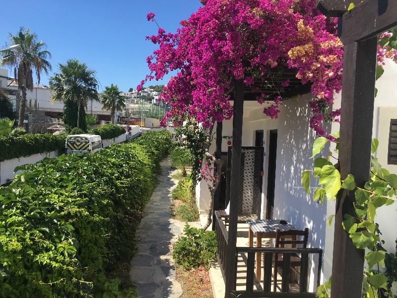 Salinas Hotel Bodrum - Lobi