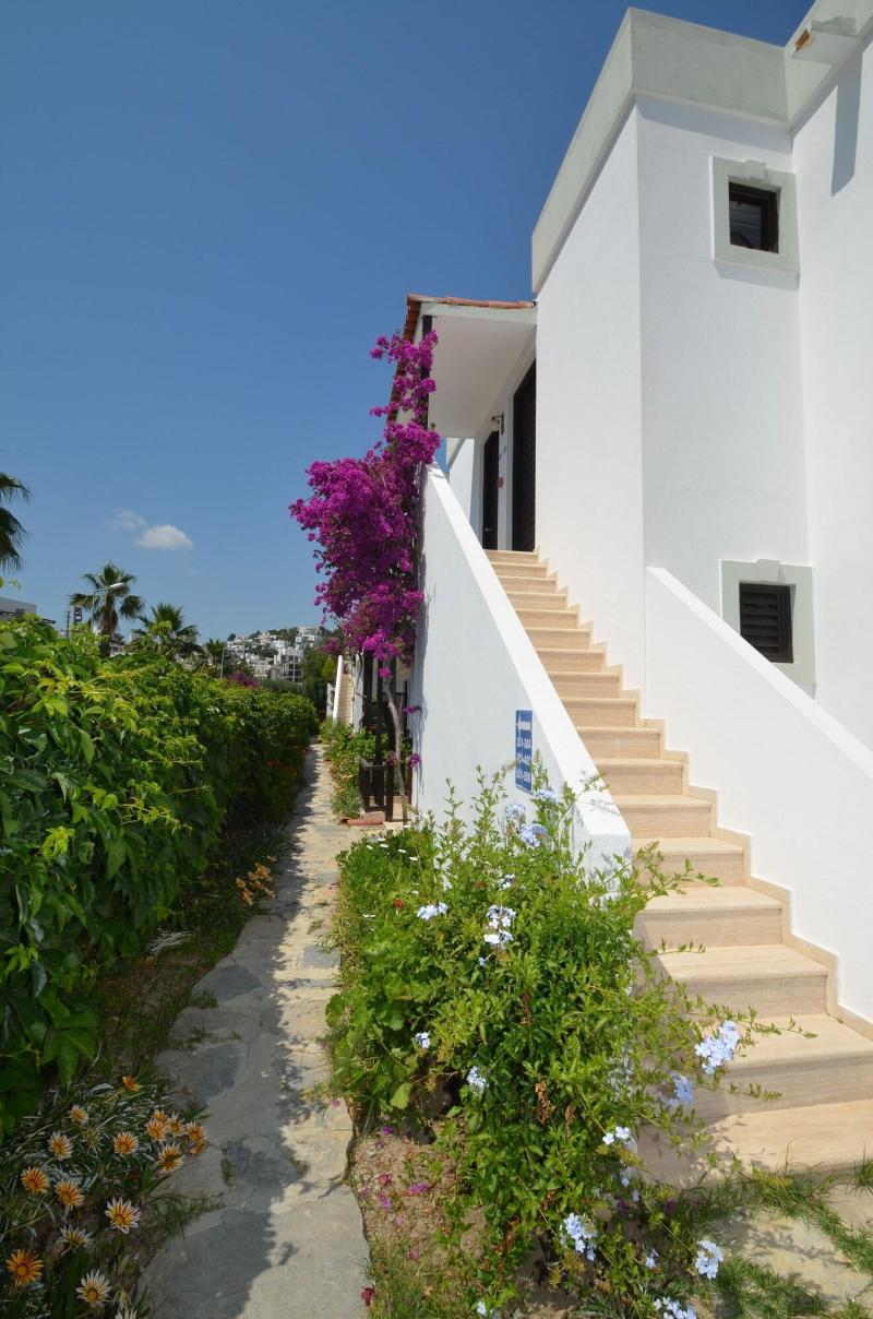 Salinas Hotel Bodrum - Genel