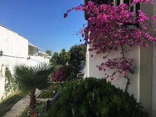 Salinas Hotel Bodrum fotoÄŸrafÄ±
