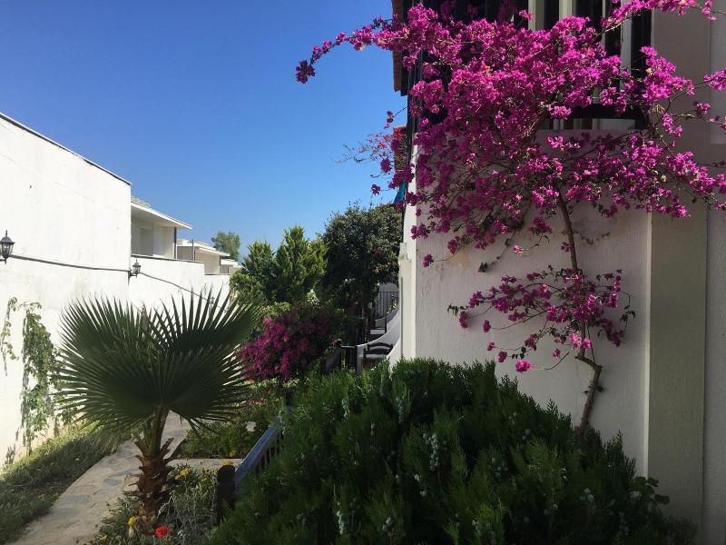 Salinas Hotel Bodrum - Genel