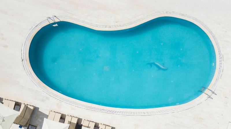 Salinas Hotel Bodrum - Havuz