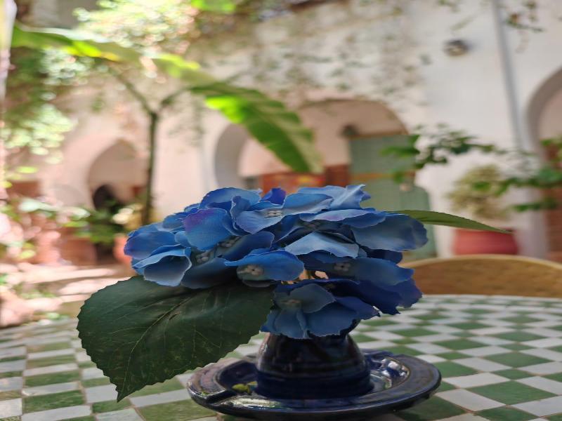 Riad Dar Bounouar - Genel
