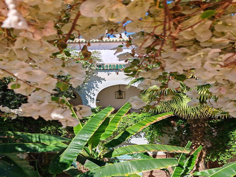 Riad Dar Bounouar - Genel