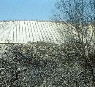 Blesius Garten fotoÄŸrafÄ±