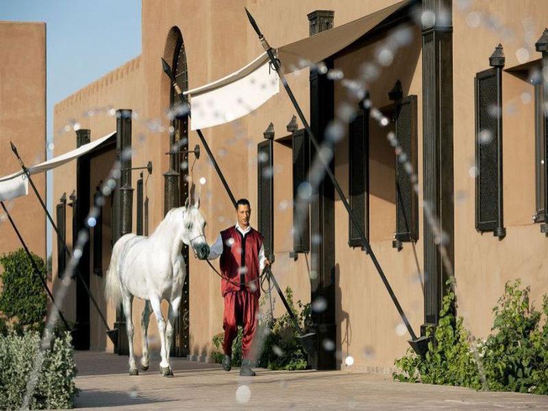 Selman Marrakech - Genel