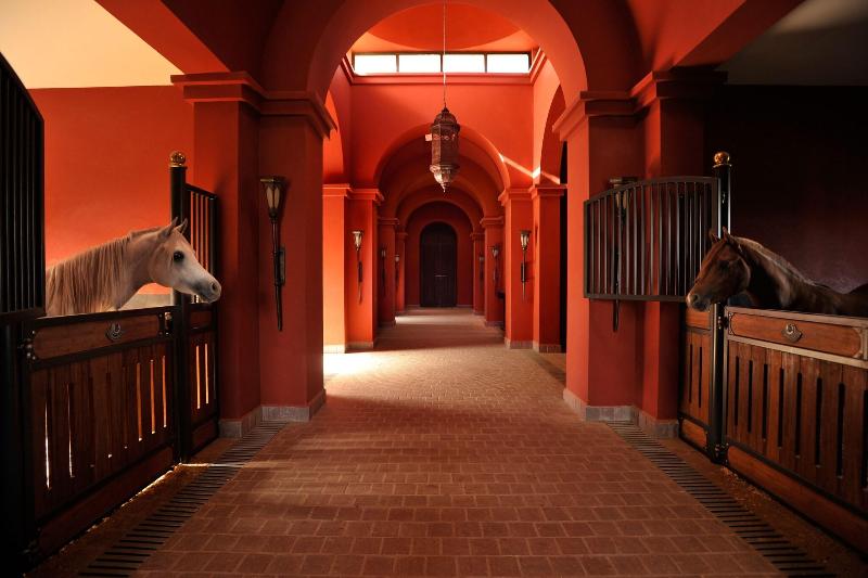 Selman Marrakech - Genel