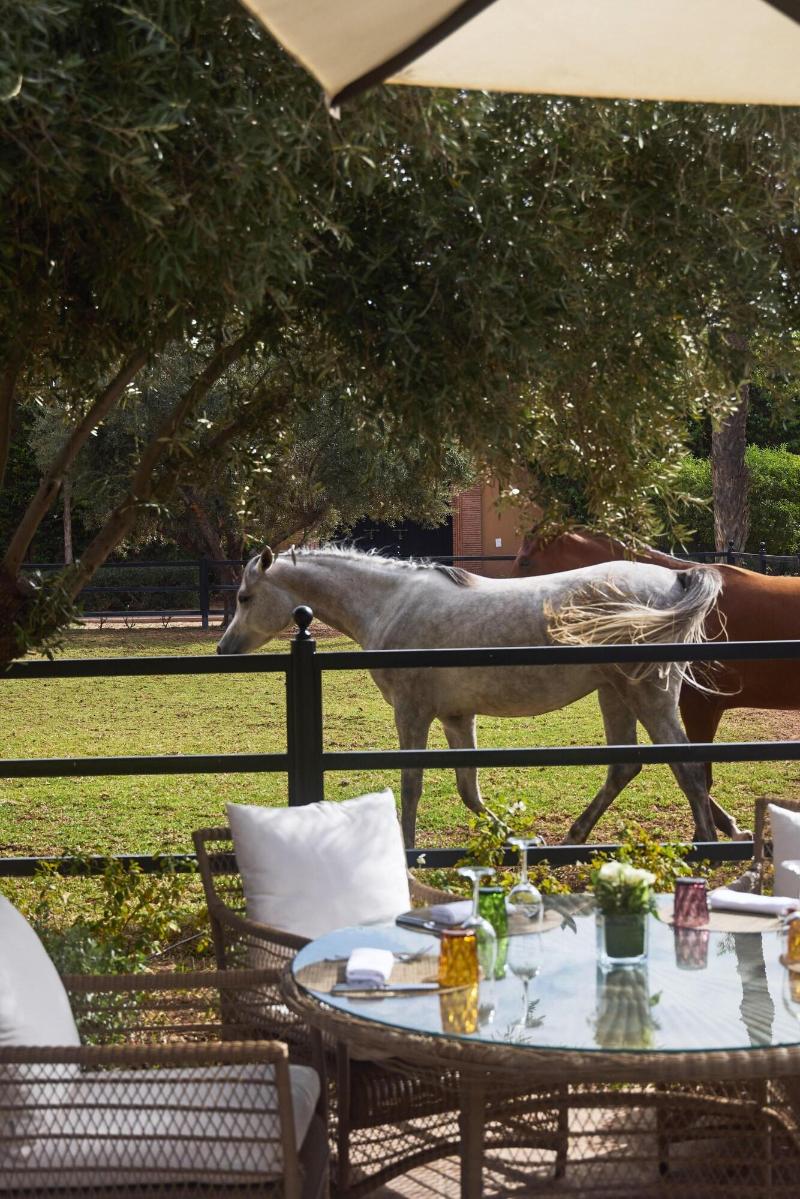 Selman Marrakech - Restoran