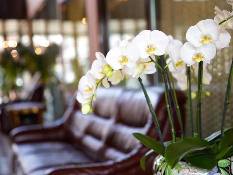 Hotel Geisler Garni - Genel