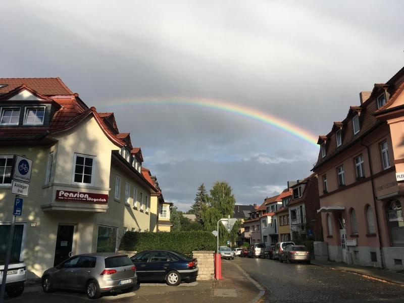 Pension Wegerich - Genel
