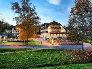 Park Hotel Bad Salzig fotoÄŸrafÄ±