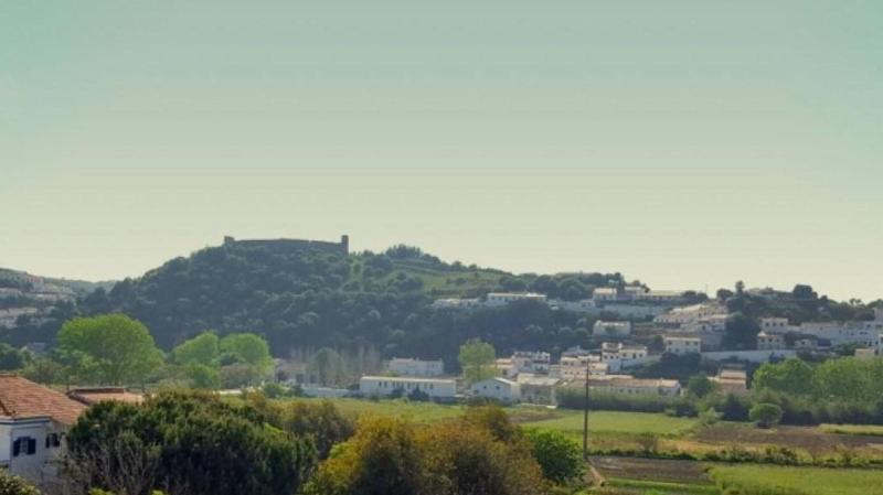 Vicentina Hotel - Genel