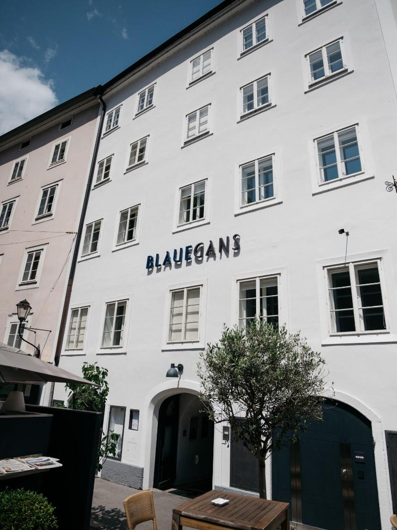Arthotel Blaue Gans - Genel