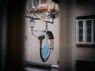 Arthotel Blaue Gans fotoÄŸrafÄ±