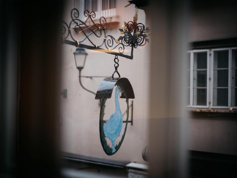 Arthotel Blaue Gans - Genel