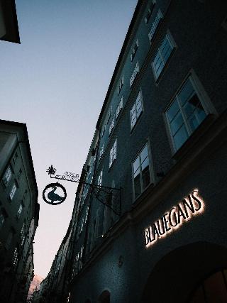 Arthotel Blaue Gans fotoÄŸrafÄ±