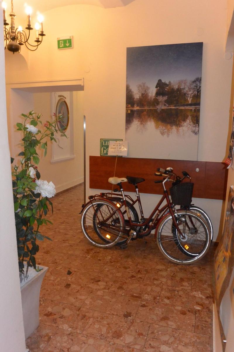 Hotel-Pension Adlerhof - Aktivite