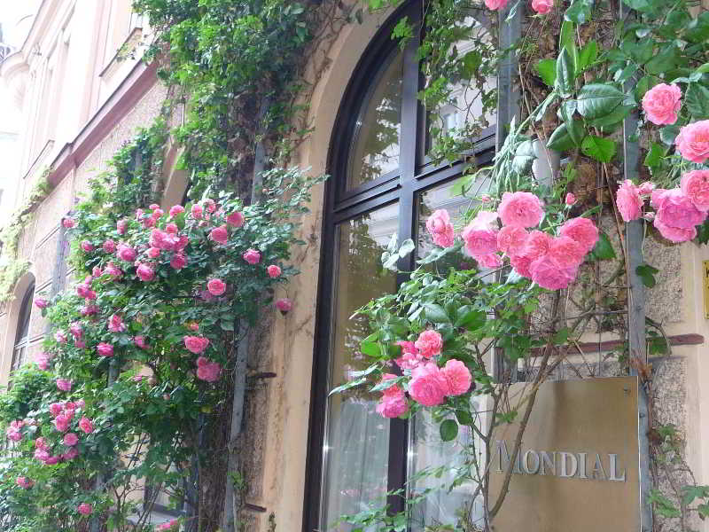 Mondial Appartement Hotel otel fotoğrafı