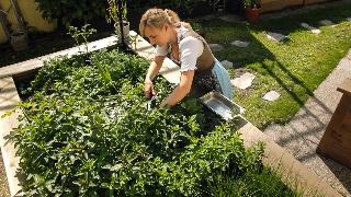 Hotel-Restaurant Kaiserhof fotoÄŸrafÄ±