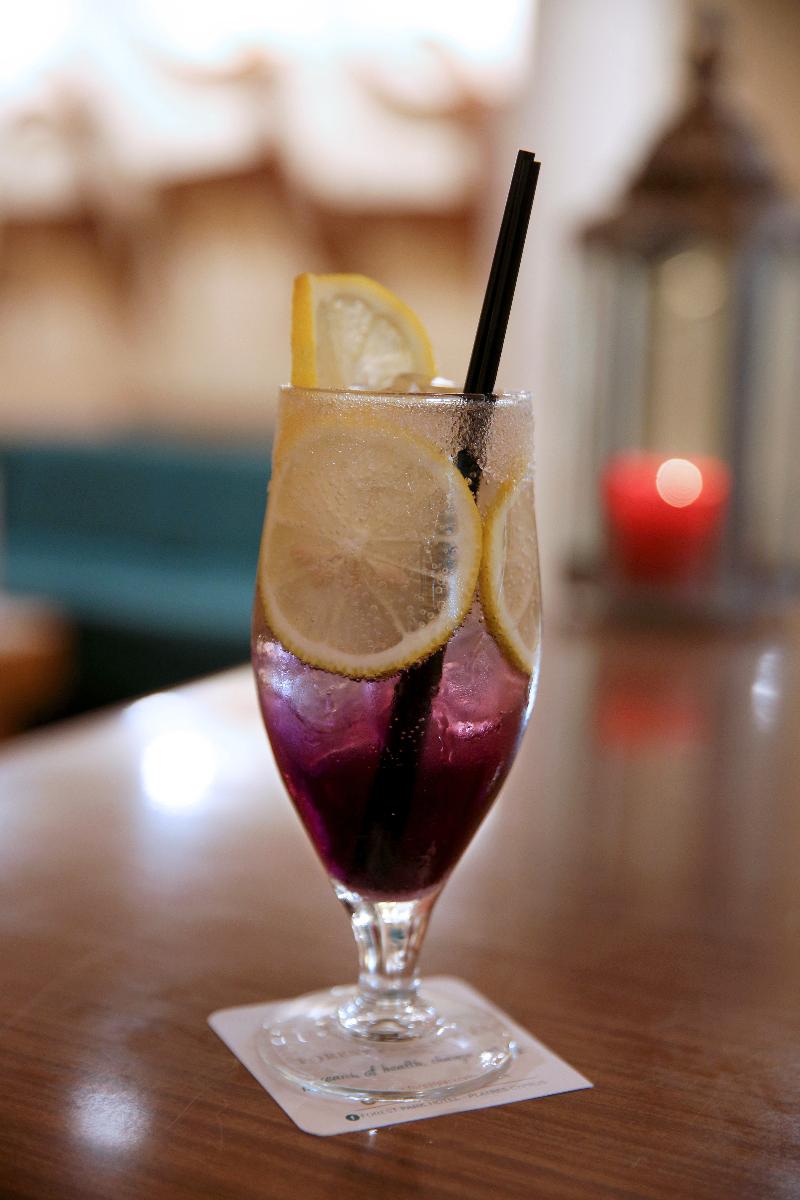 Forest Park Hotel - Bar