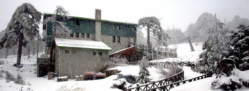 Forest Park Hotel - Aktivite
