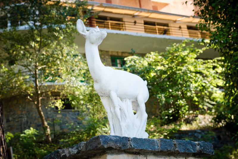 Forest Park Hotel - Genel