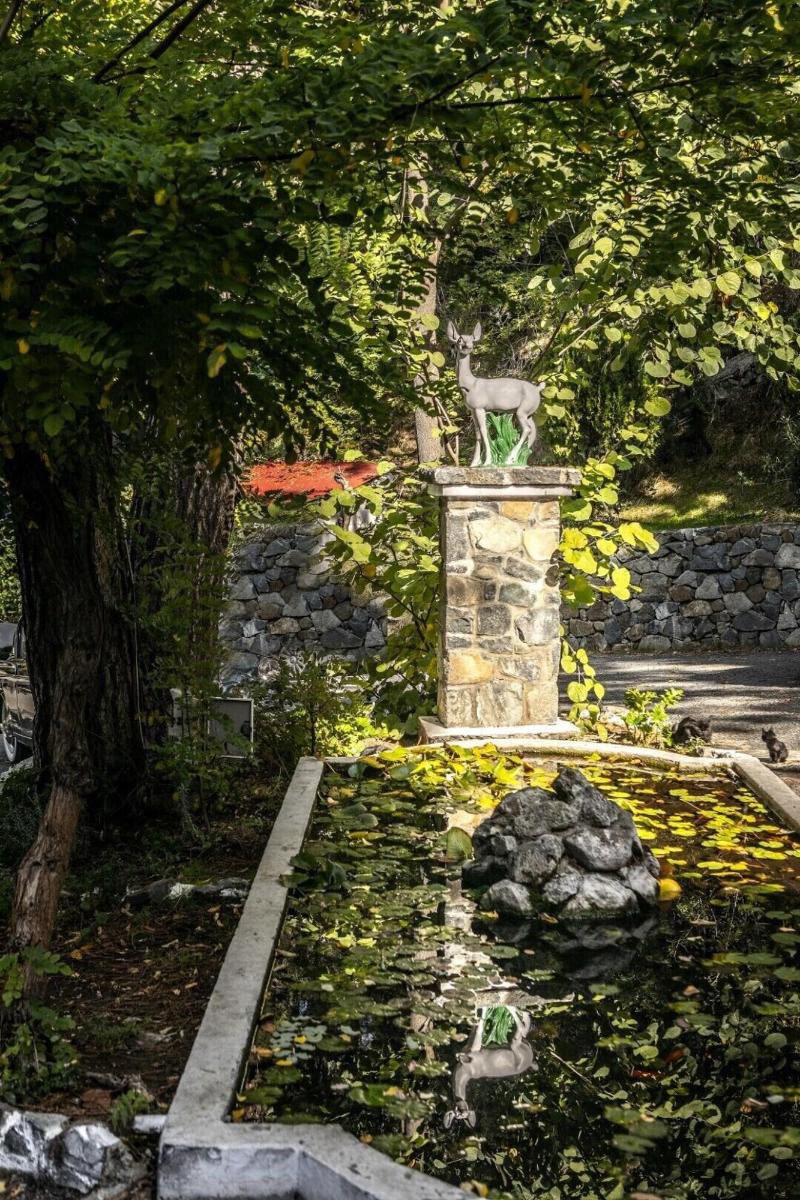 Forest Park Hotel - Genel