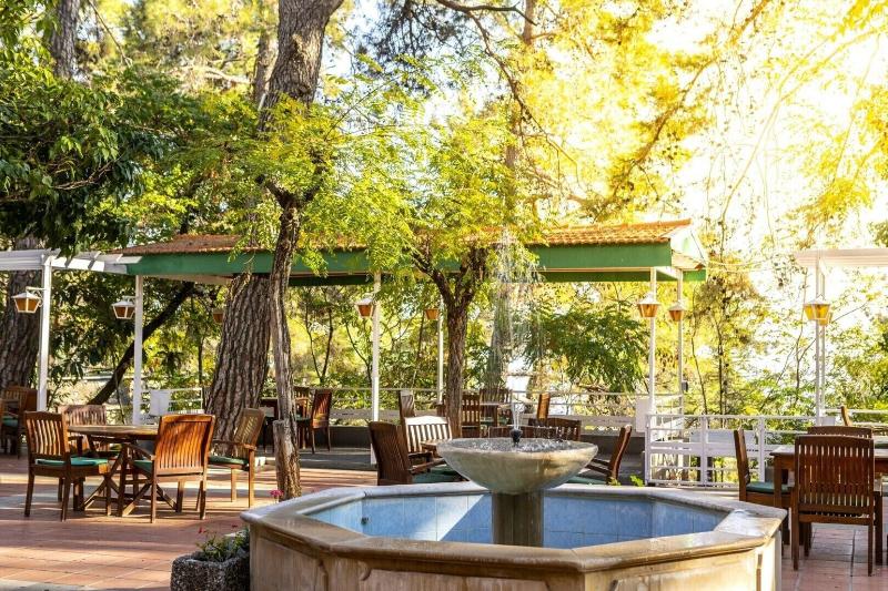 Forest Park Hotel - Genel