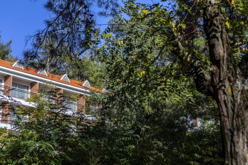 Forest Park Hotel - Genel