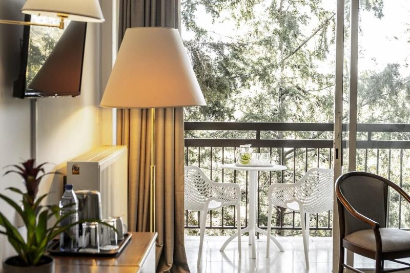 Forest Park Hotel - Oda