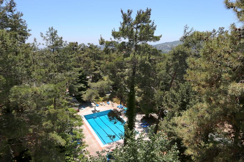 Forest Park Hotel - Havuz