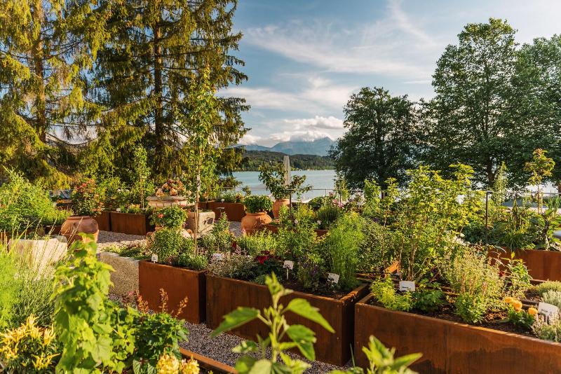 Hotel Schloss Seefels - Teras