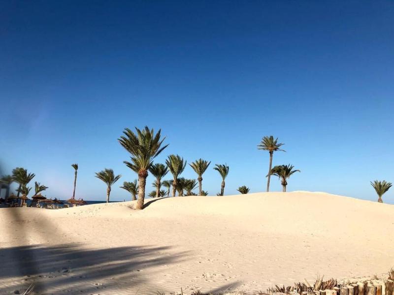 Djerba Golf Resort & Spa - Genel