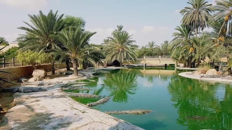 Djerba Golf Resort & Spa - Genel