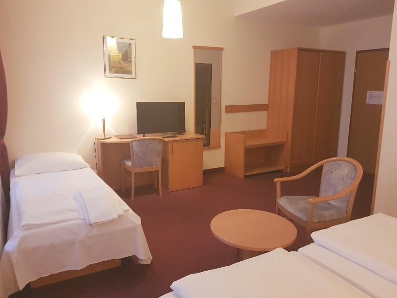 Hotel Pension Haydn - Oda