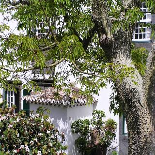 Casa Das Calhetas fotoÄŸrafÄ±