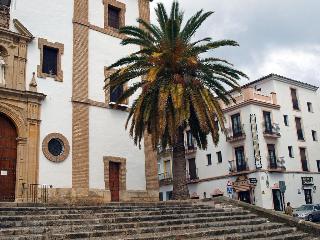 Colon