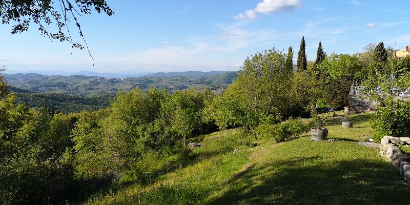 Villa Sant'Uberto Country Inn - Genel
