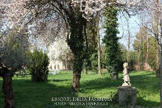 Horti Della Fasanara