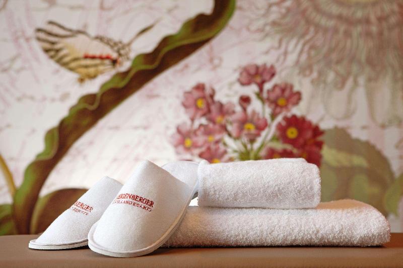 Steigenberger Parkhotel Braunschweig - Aktivite