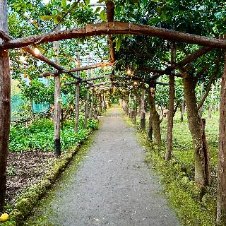 Relais Correale Rooms&Garden