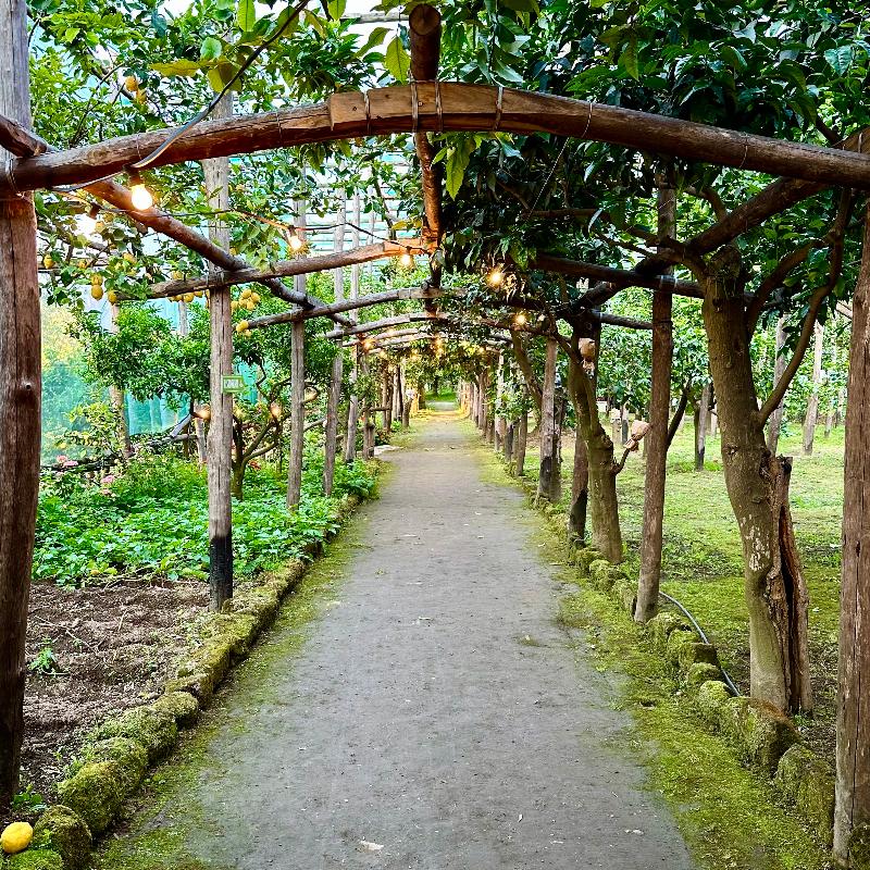 Relais Correale Rooms&Garden - Genel