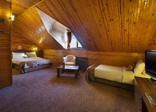 Dedeman Palandoken Resort fotoÄŸrafÄ±
