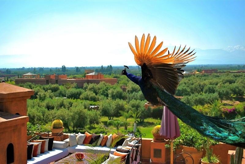 Kasbah Al Mendili Private - Genel